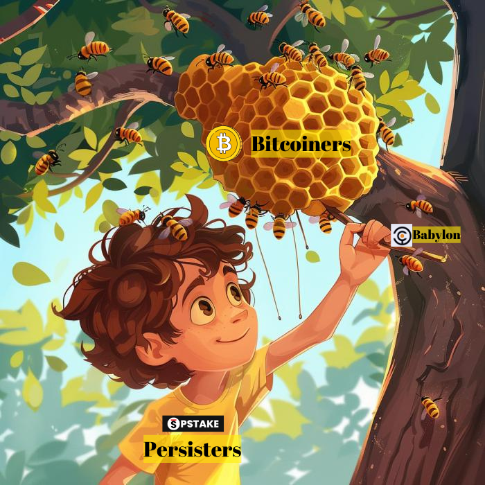 Bitcoiner's evolution